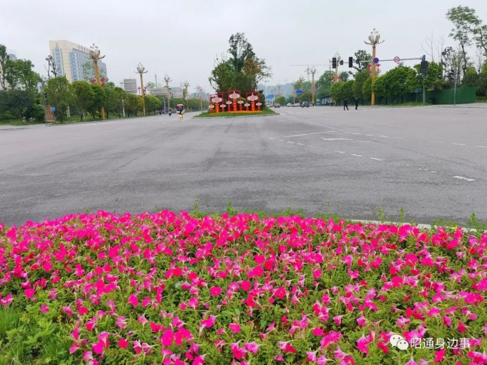 鎮(zhèn)雄南部新區(qū)最新動態(tài)，鄰里間的溫情故事展現(xiàn)溫情鄰里關(guān)系