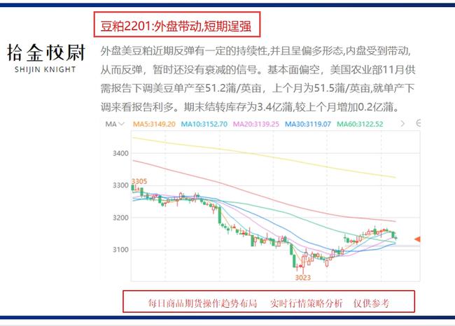 美豆實(shí)時(shí)行情詳解與指南