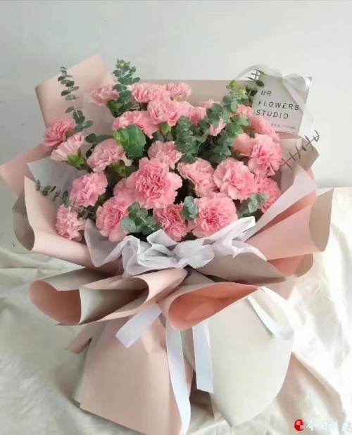 康乃馨價(jià)格走勢(shì)揭秘，市場(chǎng)趨勢(shì)、影響因素與選購(gòu)指南