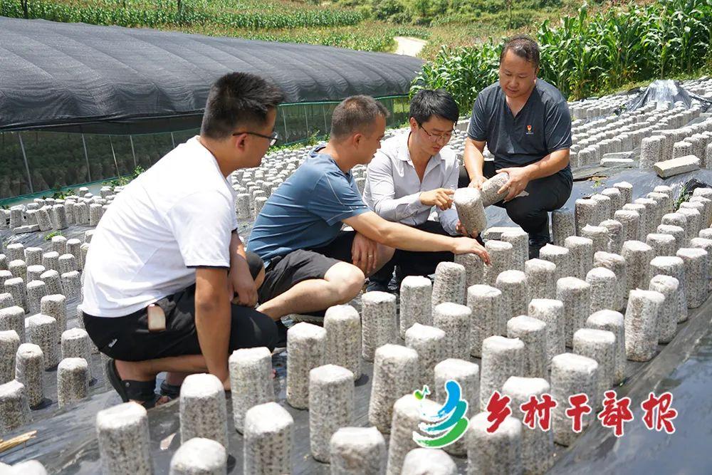 織金黨建論壇最新資訊,織金黨建論壇最新資訊，探討黨建新動向與觀點