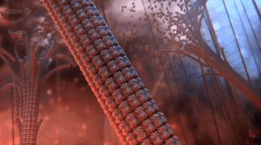 全國病毒感染最新動態(tài)，自然美景呼喚你我共賞