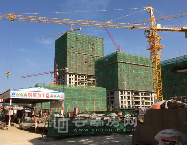 昆明大觀首府最新房產(chǎn)價格指南揭秘