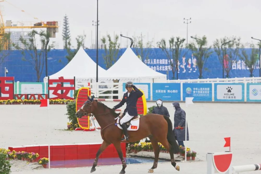 全運會馬術(shù)比賽直播，科技與生活的精彩交匯點