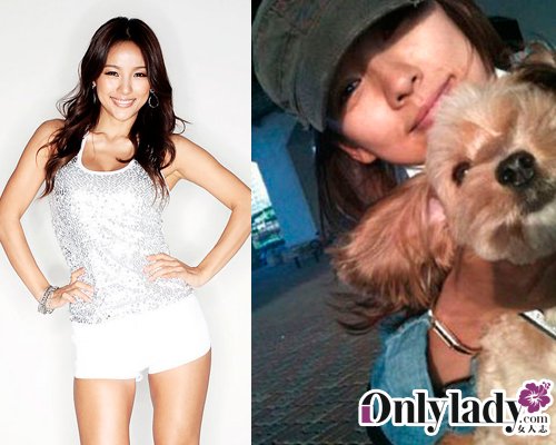 近期逝去的明星，璀璨之星的黯淡落幕