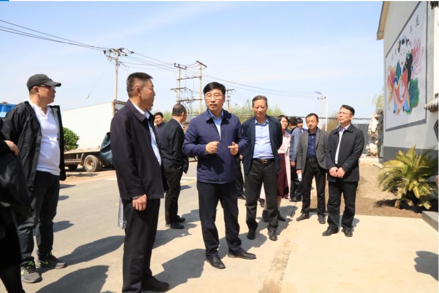 楊柳青大柳灘最新進展更新