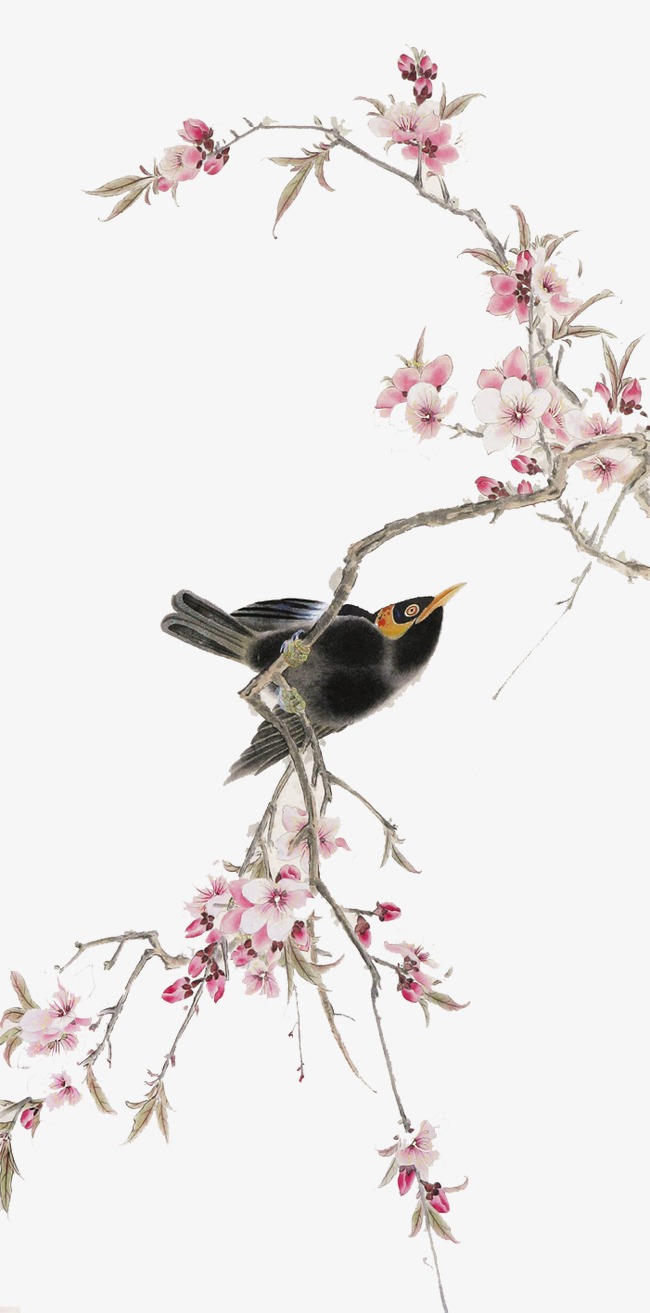 隱藏在巷子深處的花鳥圖藝術寶藏揭秘