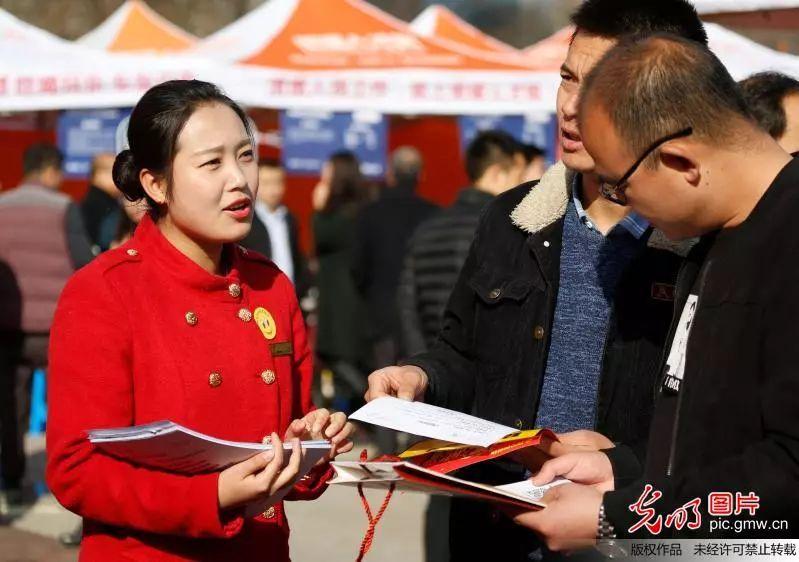 眉山東坡區(qū)最新職位招聘，職場人的首選選擇