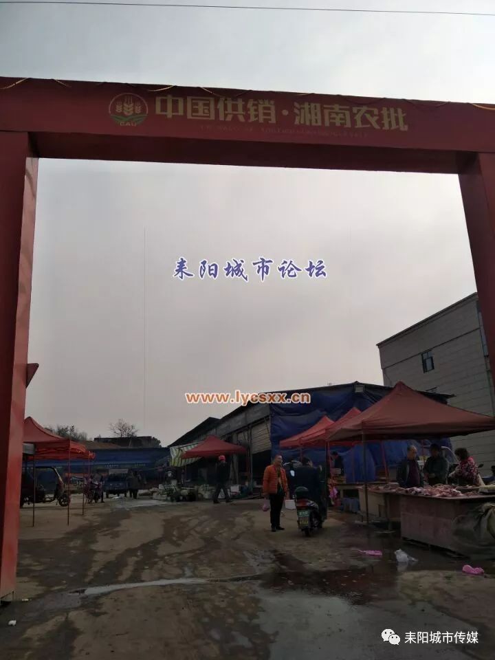 湘南大市場最新動態(tài)，一場溫馨的市場奇遇探索