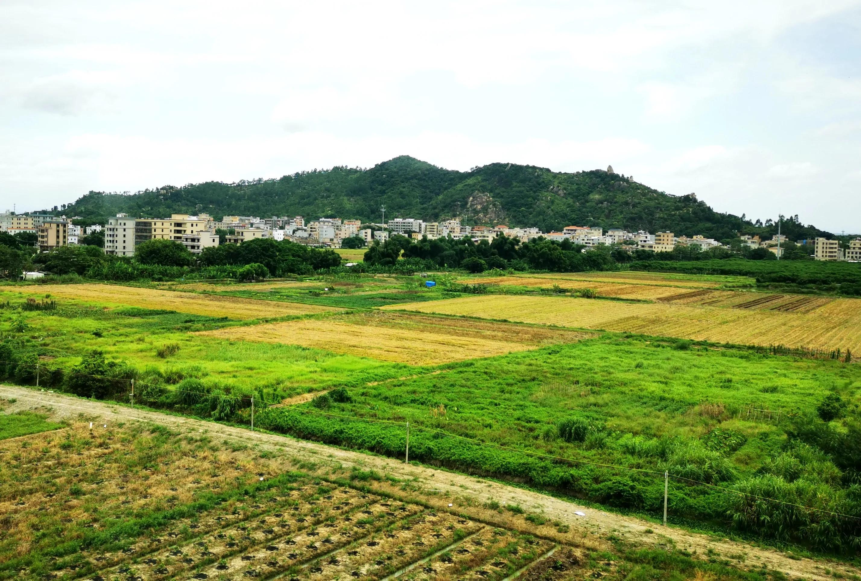 廈門至深圳高鐵提速最新動態(tài),廈門至深圳高鐵提速最新動態(tài)，速度與情感的雙重旅程