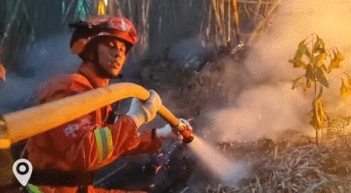 璧山動態(tài)，引領未來的高科技產品體驗之旅