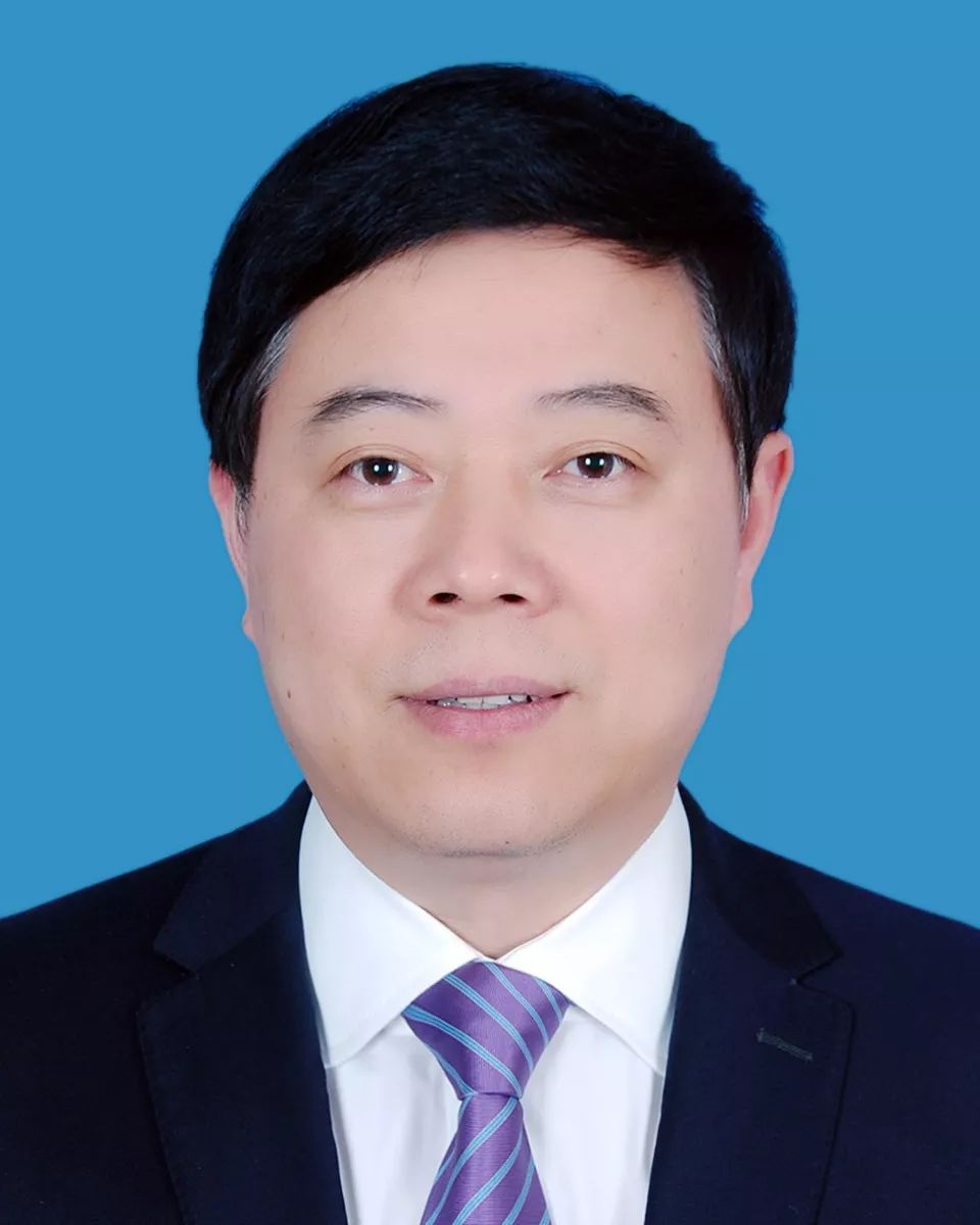 孫廷喜最新職位的多維度視角分析觀點探討