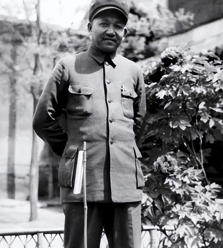 孫廷喜最新職位的多維度視角分析觀點探討