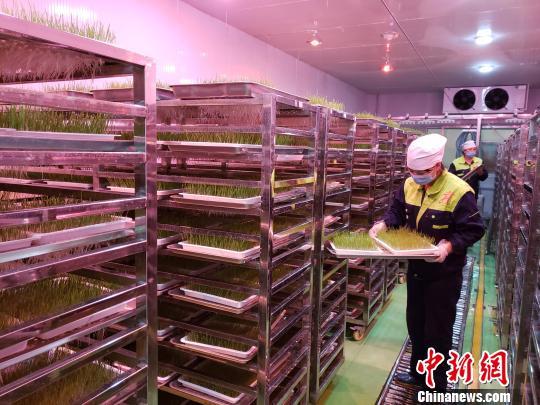 高碑店搬遷村最新進(jìn)展，城市蛻變與民眾期待同步前行