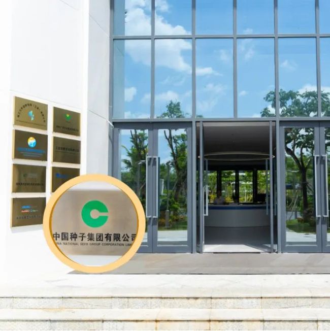 臺風(fēng)影響下的海南高鐵動態(tài)與小巷特色小店探索