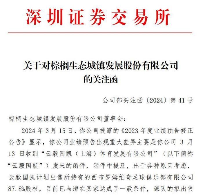 棕櫚股份最新動態(tài)深度解析與觀點(diǎn)闡述