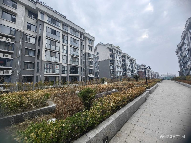 新尚山莊蛻變之路，多方觀點深度解析最新資訊