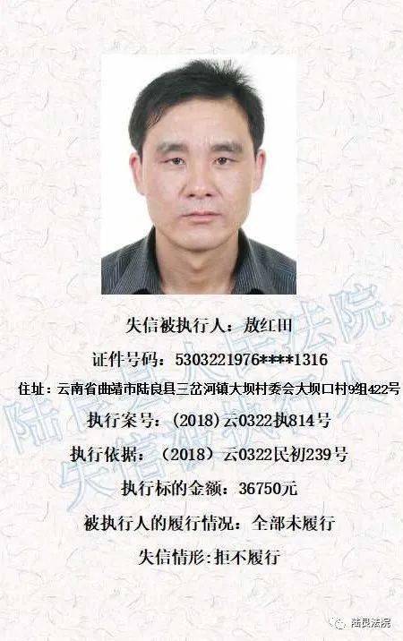 曲靖市失信名單最新匯總及查詢步驟指南(適用于初學者與進階用戶)