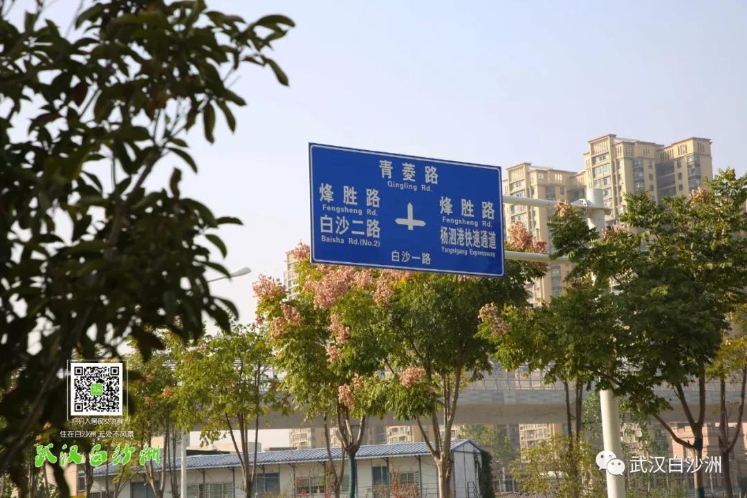 武漢白沙二路最新動(dòng)態(tài)更新及消息速遞