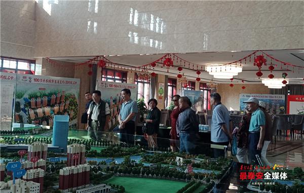 泰安記者村最新動(dòng)態(tài)更新