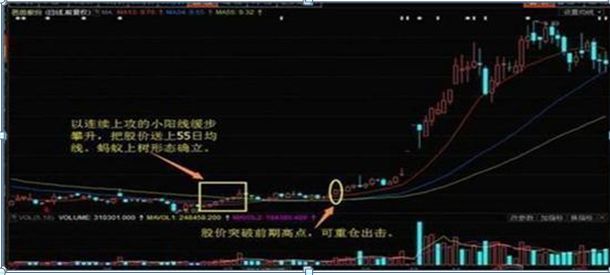 揭秘股票見底信號(hào)，市場(chǎng)反轉(zhuǎn)征兆解析