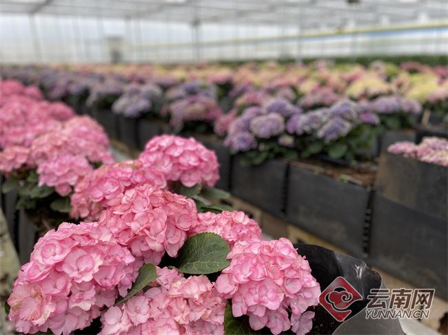 百合貸最新動(dòng)態(tài)更新??