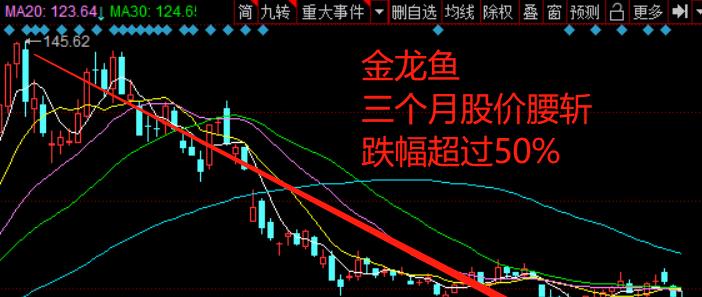 小紅書深度解析金龍魚股票股吧，投資熱點與趨勢探討