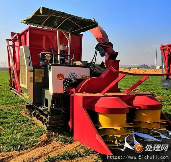 今年收割機(jī)市場(chǎng)走勢(shì)及小巷深處的風(fēng)光探秘
