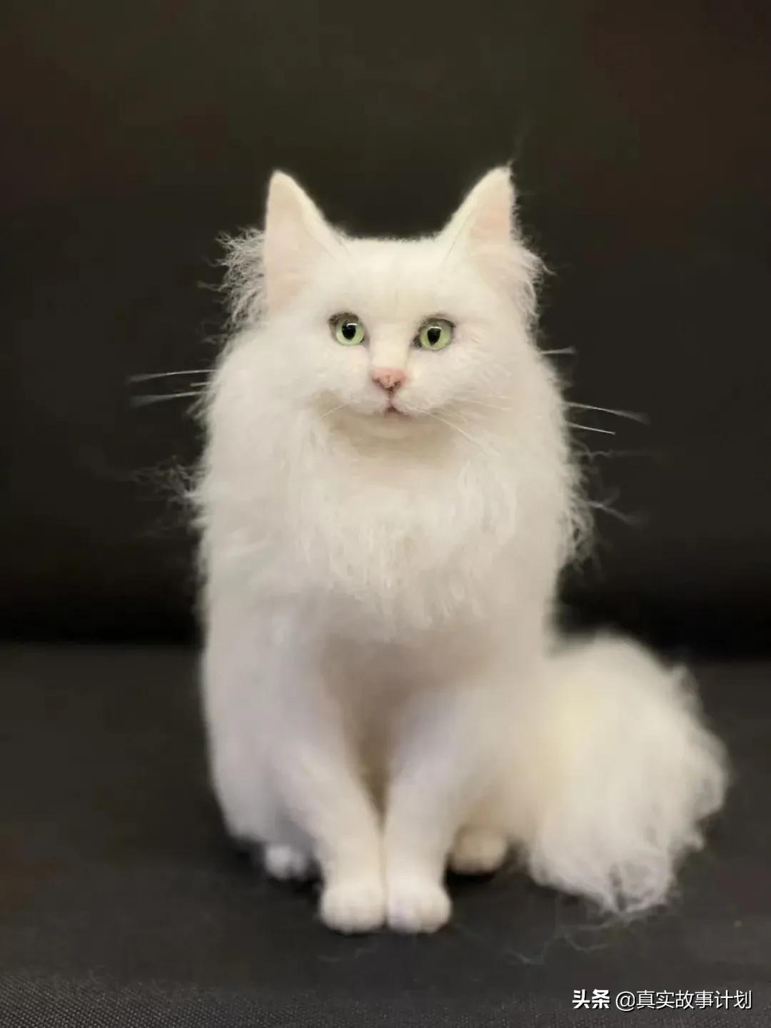 冰凍脫毛產(chǎn)品最新價格概覽