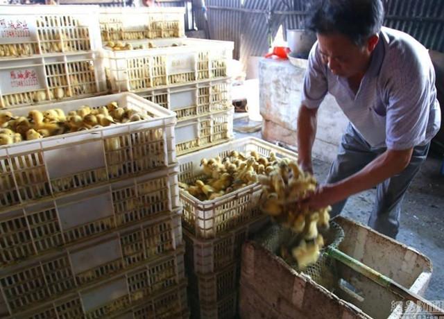 冰凍脫毛產(chǎn)品最新價格概覽