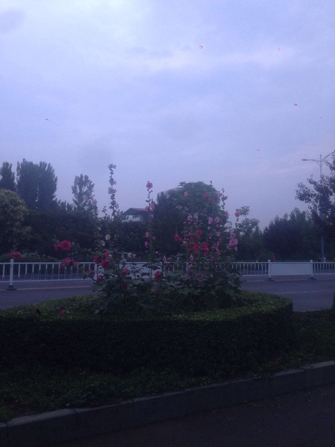 寶豐最新氣象預(yù)報(bào)更新??