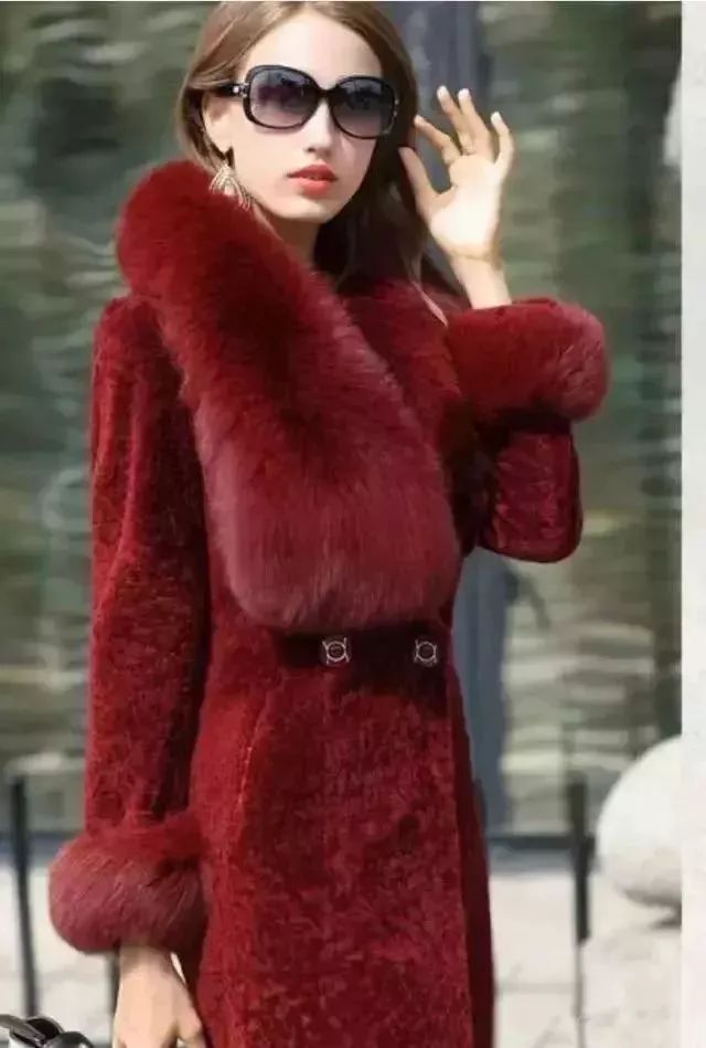 貂皮最新行情深度解析與趨勢(shì)展望