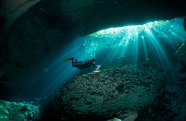 IMP最新觀點(diǎn)闡述