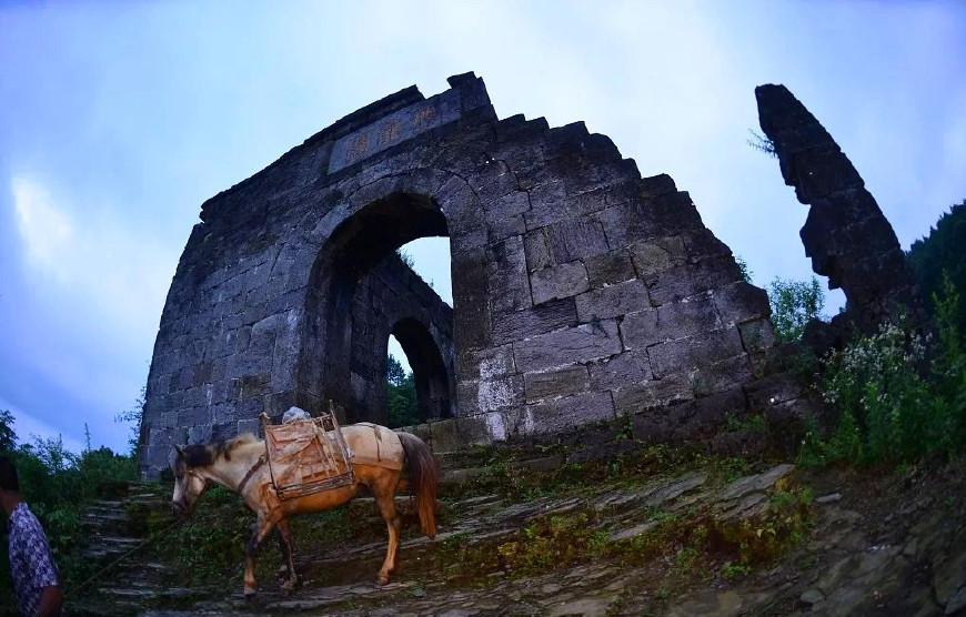 海龍戰(zhàn)最新論述概述