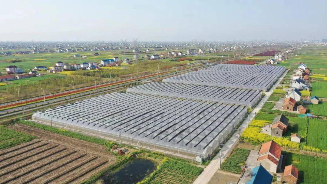 最新農(nóng)業(yè)項目引領(lǐng)重塑農(nóng)業(yè)未來