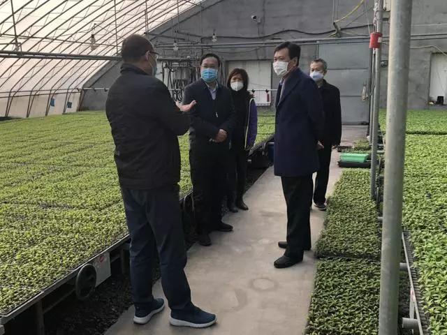 辛集房產(chǎn)信息網(wǎng)最新動態(tài)及資訊更新????