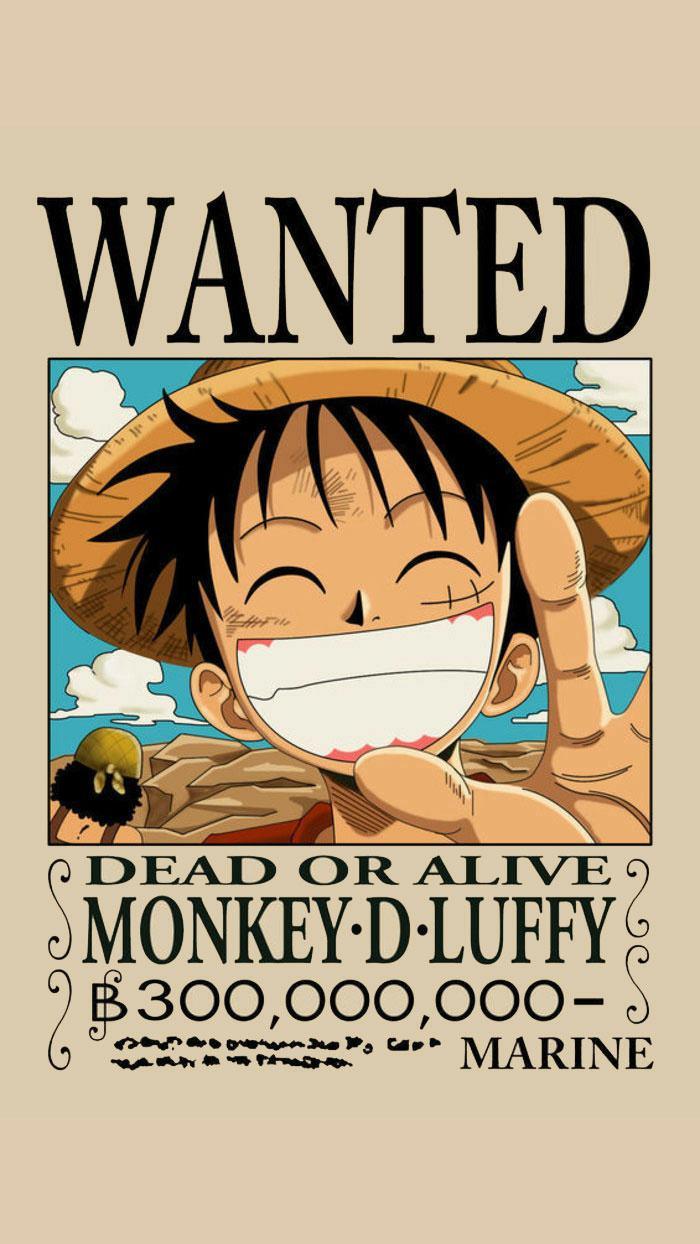 海賊王最新懸賞令圖片解析與觀點闡述