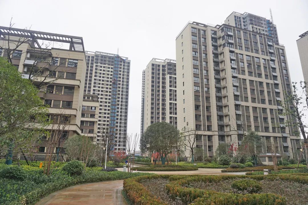 安慶天下名筑最新動(dòng)態(tài)及相關(guān)論述揭秘