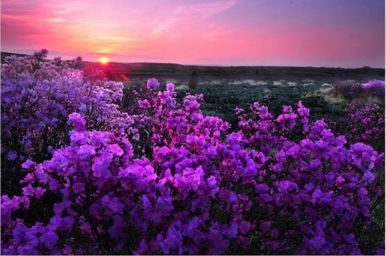 龍江春天的最新進(jìn)展及其深度觀點分析