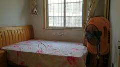 滕州西城怡園最新動態(tài)更新