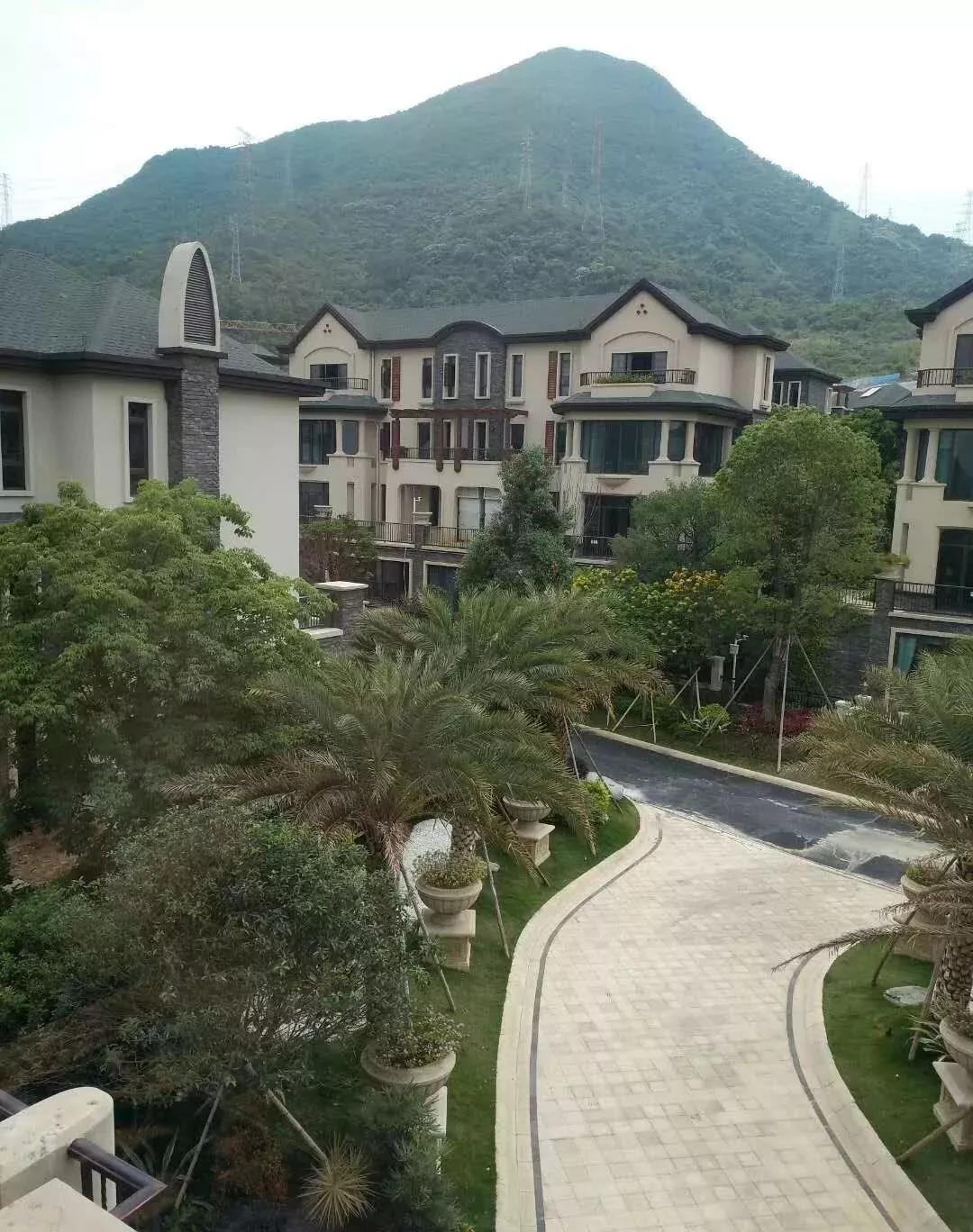 天天逍遙網(wǎng)最新地址探索與觀點(diǎn)闡述