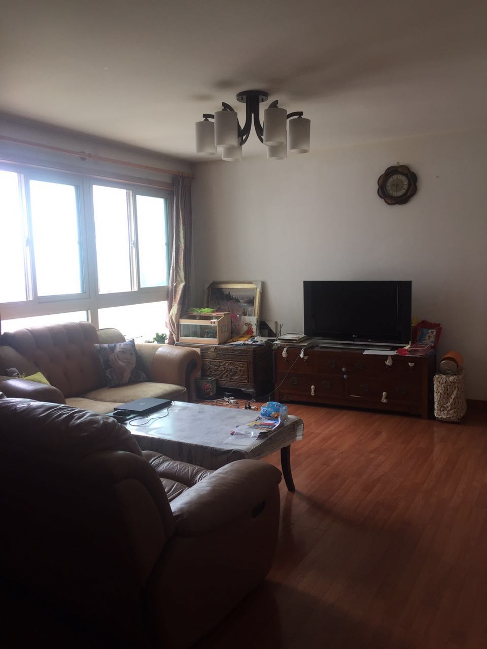 林州租房最新二室一廳優(yōu)質房源推薦與居住體驗指南