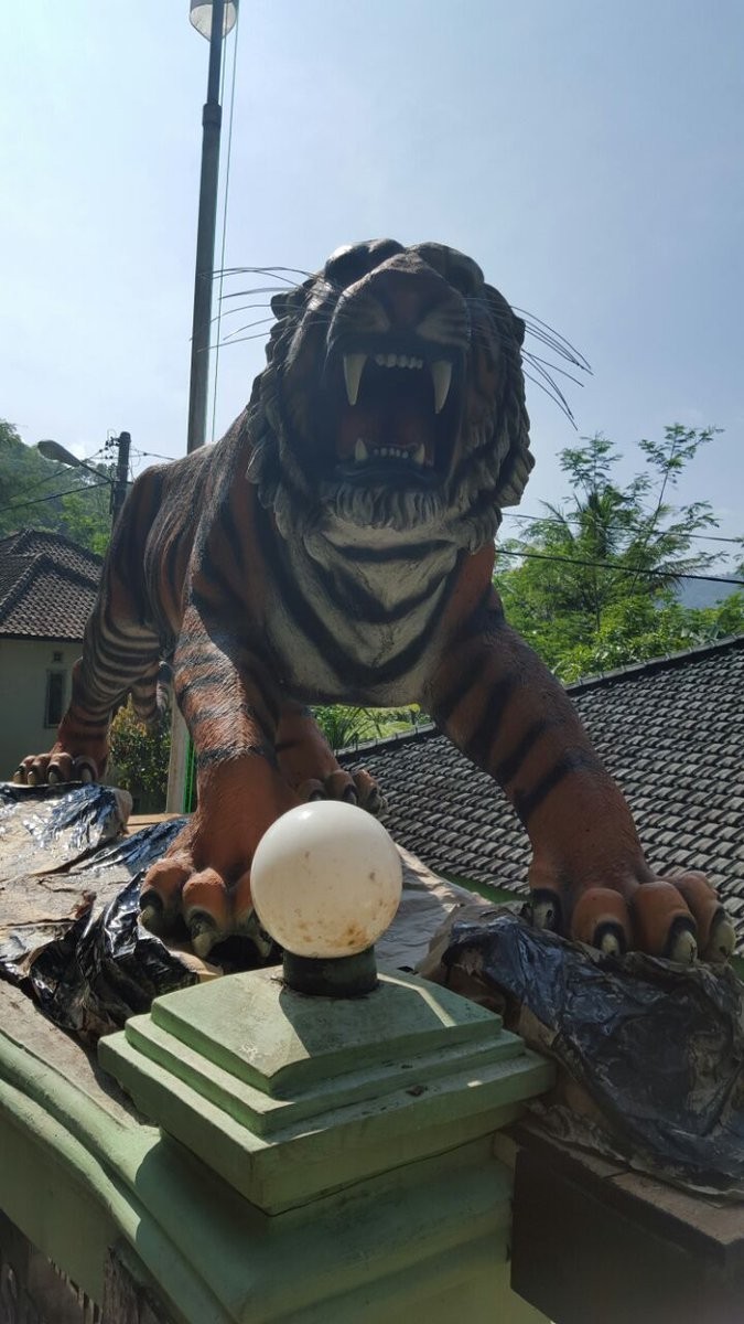 揭秘當代軍事領袖虎帥的風采與戰(zhàn)略洞察力