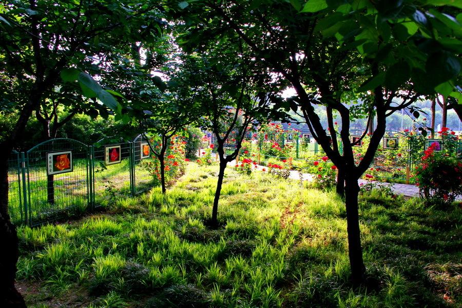 鄭州高科技產(chǎn)品璀璨時(shí)代,開啟未來之旅的游玩新體驗(yàn)