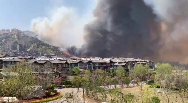 小珠山火災最新情況及應對山林火災的步驟指南