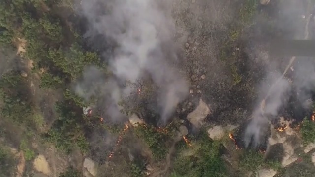 小珠山火災最新情況及應對山林火災的步驟指南