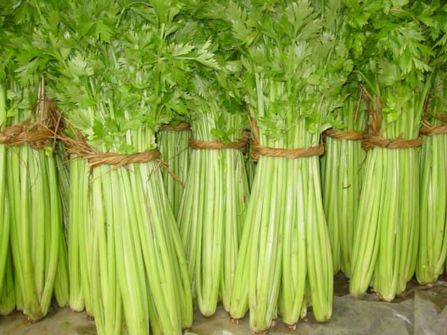 芹菜價(jià)格最新行情及分析