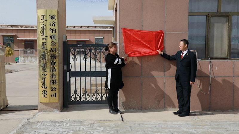 知識產(chǎn)權(quán)最新動態(tài)與高科技產(chǎn)品引領(lǐng)科技潮流介紹