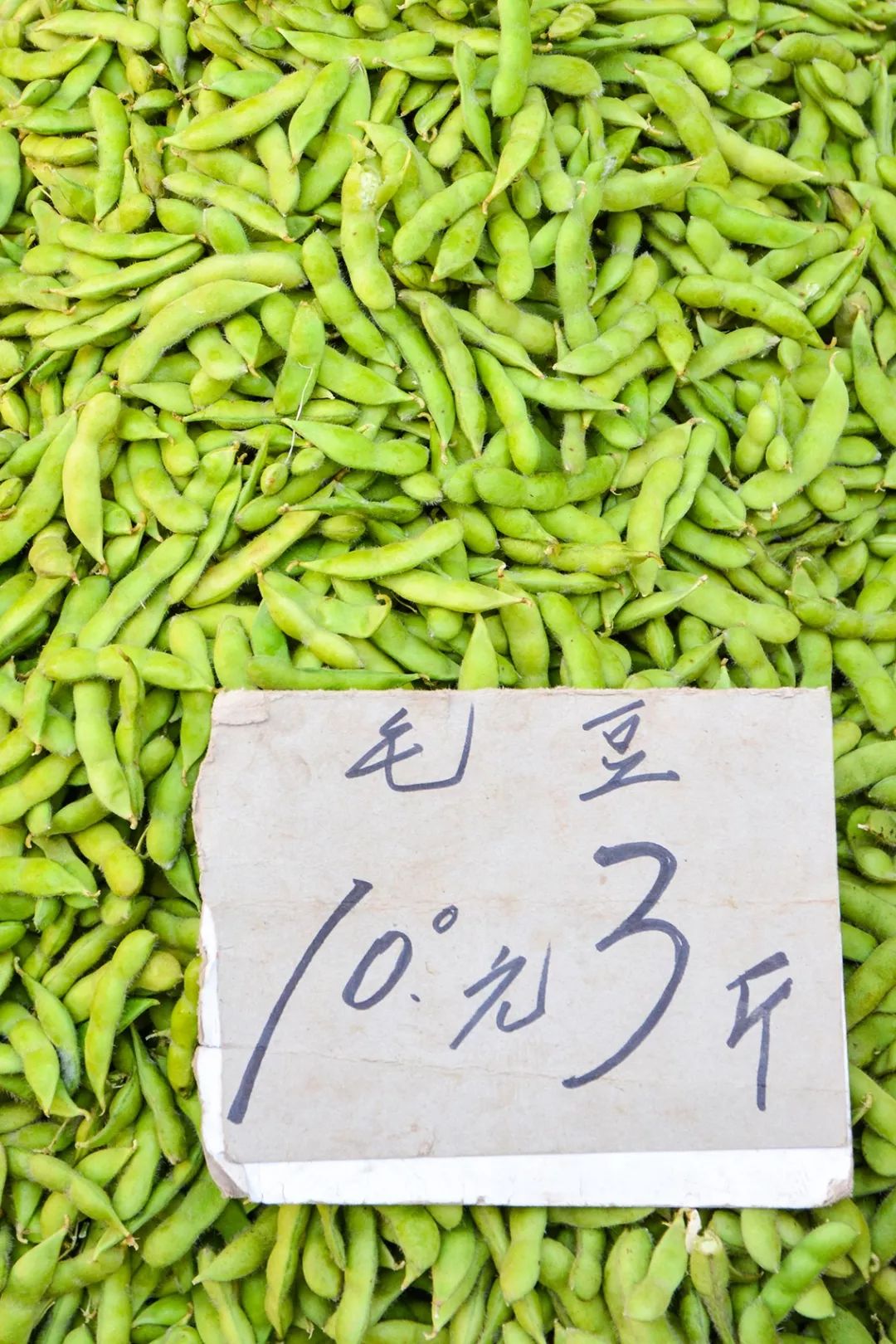 毛豆價格最新行情,毛豆價格最新行情——科技引領(lǐng)生活新潮流