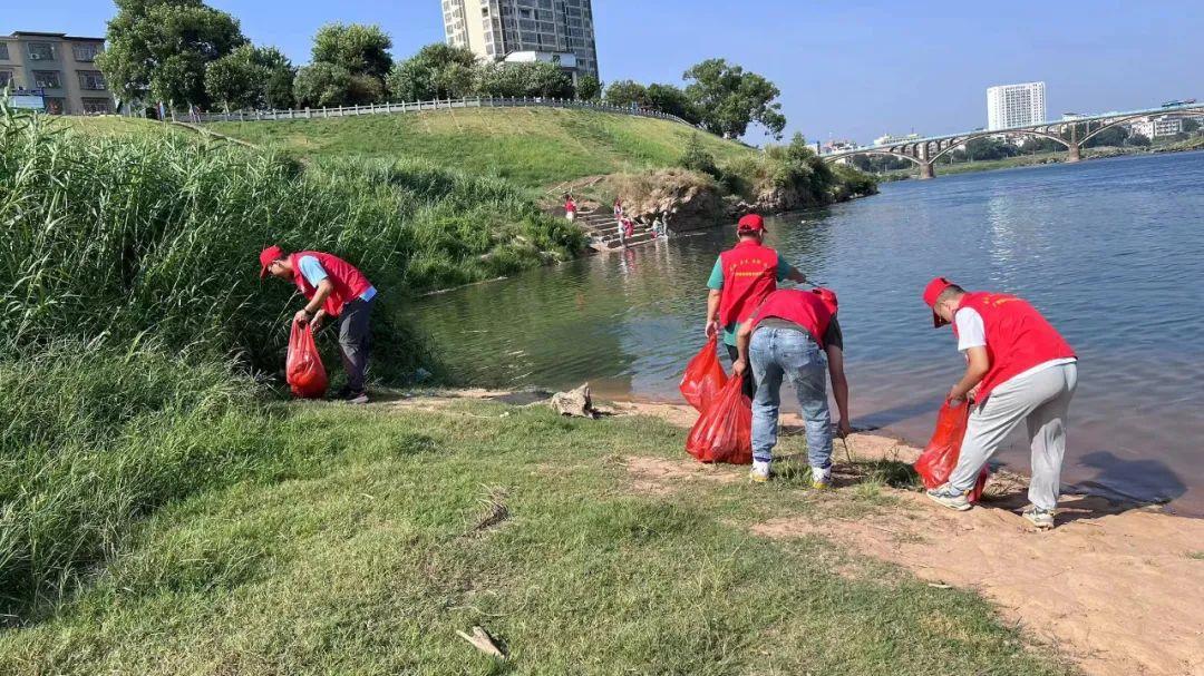 青年大學最新答案及獲取步驟指南解析