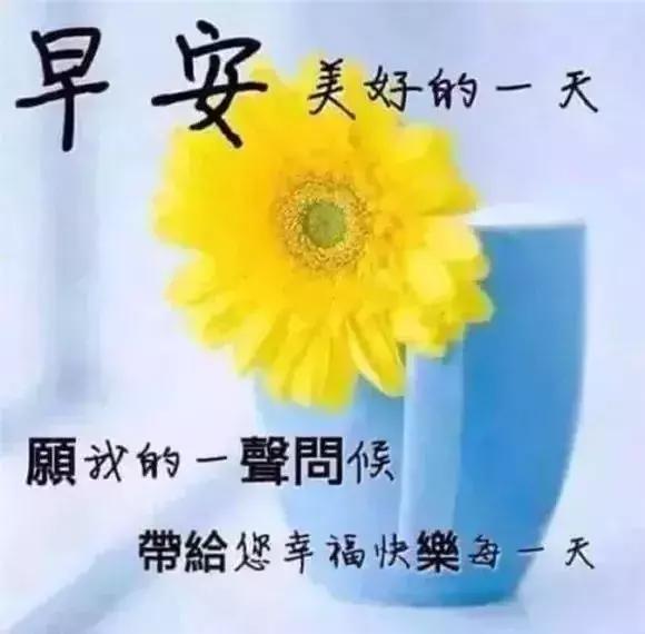 時(shí)代晨曲，最新早上好視頻，晨間序曲的光輝時(shí)刻